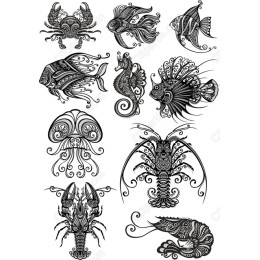 Ocean Wonders Bundle