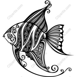 Elegant Ornate Fish