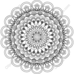 Intricate Mandala