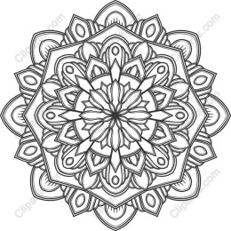 Intricate Mandala