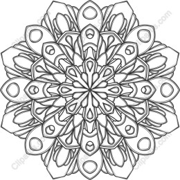 Ornate Floral Mandala