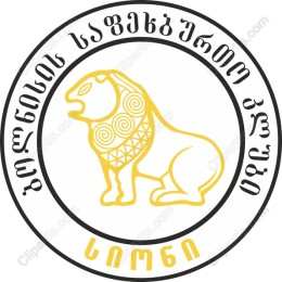 Majestic Lion - Elegant