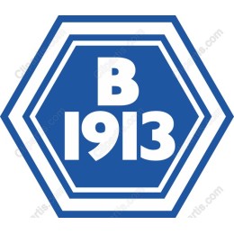 B 1913 Hexagonal Logo