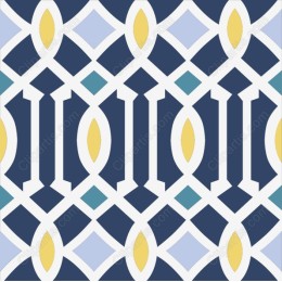 Elegant Geometric Pattern