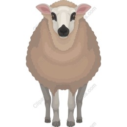 Whimsical Sheep