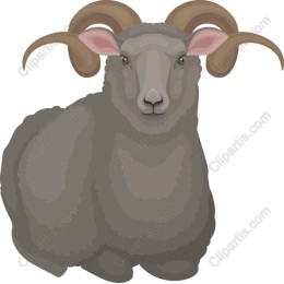 Majestic Ram