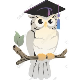 Graduation Owl