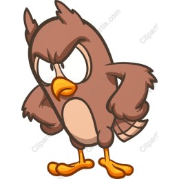 Angry Owl