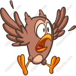 Excited Owl in Motion