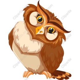 Adorable Owl