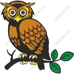 Charming Owl