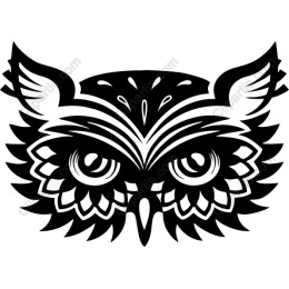 Intricate Owl Face