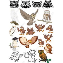 Owl and Clipart Bundle
