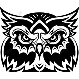 Majestic Owl
