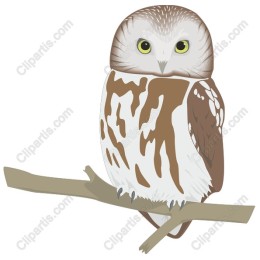 Owl Perched