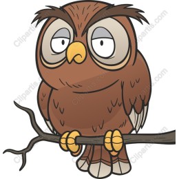 Charming Cartoon Owl