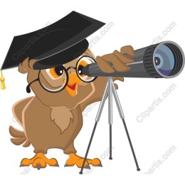 Whimsical Graduation Owl
