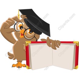Wise Owl Graduate