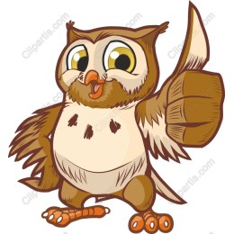 Cheerful Owl Thumbs Up