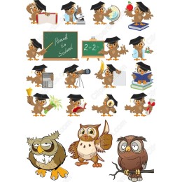 Back to School Owl Bundle