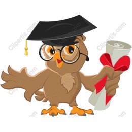 Graduation Owl