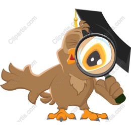 Charming Wise Owl Graduation