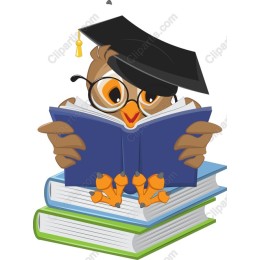Wise Owl Scholar