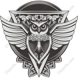 Elegant Owl