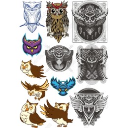 Owl Set: Whimsical & Intricate Owl