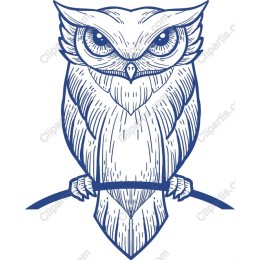 Majestic Owl