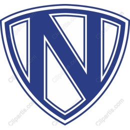 Bold “N” Shield Logo