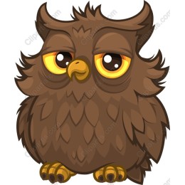 Wise Owl