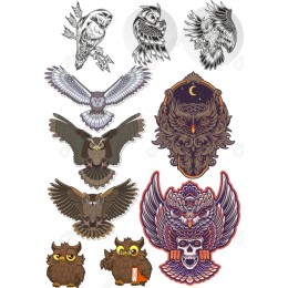 Owl Magic: Bundle