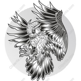 Intricate Owl work
