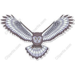 Majestic Flying Owl