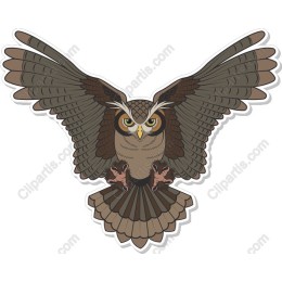 Majestic Owl