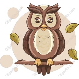 Charming Owl