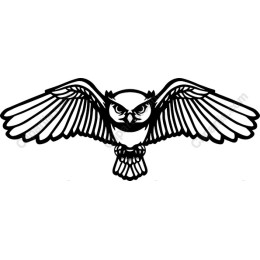 Majestic Owl Flight