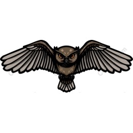 Flying Owl