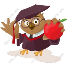 Graduation Owl