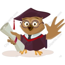 Graduation Owl