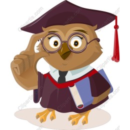 Wise Owl Graduate