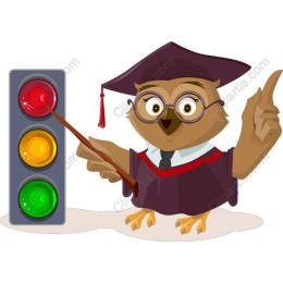 Wise Owl Traffic Light Educator