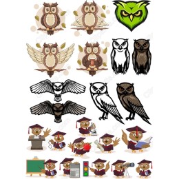 Charming Owl Set - Bundle