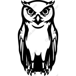 Majestic Owl