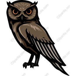 Fierce Owl
