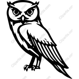 Fierce Owl