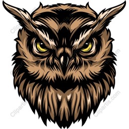 Majestic Owl Face