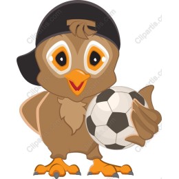 Cheerful Owl Soccer Player