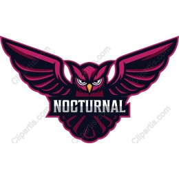 Nocturnal Owl